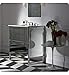 Robern VF24TDCNSA7323 VANITY, 24"W ADORN II, SLOW CLOSE, OCE