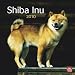 Shiba Inu 2010 Square Wall (Multilingual Edition)