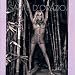 Sante D'Orazio: Pam Anderson
