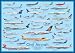 Civil Aircraft Poster - Laminated