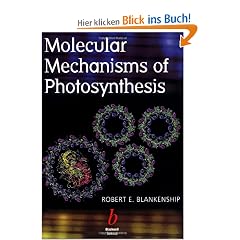 Molecular Mechanisms of Photosynthesis