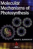 Molecular Mechanisms of Photosynthesis