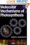 Molecular Mechanisms of Photosynthesis