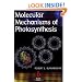 Molecular Mechanisms of Photosynthesis