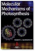 Molecular Mechanisms of Photosynthesis