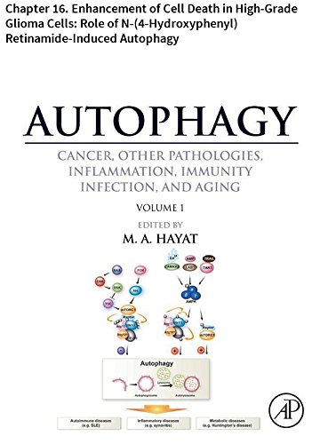 Autophagy: Chapter 16. Enhancement of Cell Death in High-Grade Glioma Cells: Role of N-(4-Hydroxyphenyl) Retinamide-Induced Autophagy