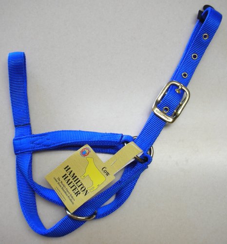 Hamilton Deluxe 1 Nylon Turnout Cow Halter, Assorted Size and Color