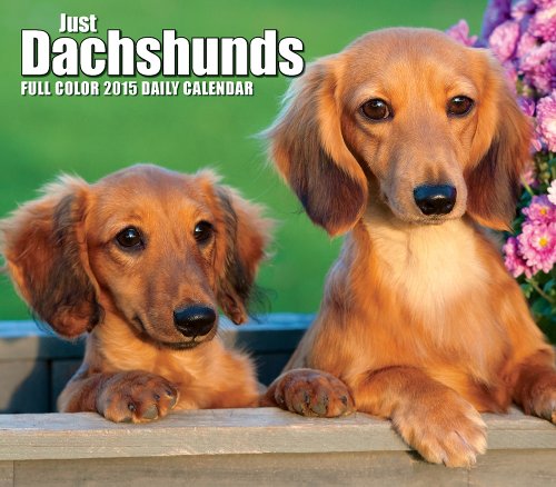 Just Dachshunds 2015 Box Calendar