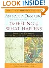 The Feeling of What Happens: Body and Emotion in the Making of Consciousness
