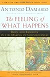 The Feeling of What Happens