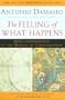 The Feeling of What Happens: Body and Emotion in the Making of Consciousness
