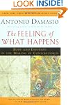 The Feeling of What Happens: Body and...