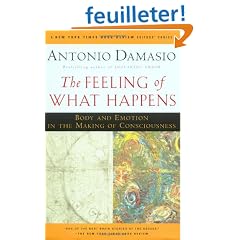 The Feeling of What Happens: Body and Emotion in the Making of Consciousness