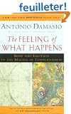 The Feeling of What Happens: Body and Emotion in the Making of Consciousness