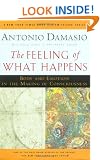 The Feeling of What Happens: Body and Emotion in the Making of Consciousness