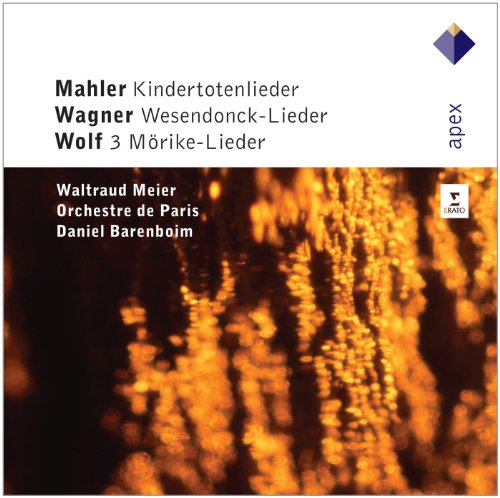 MEIER,WALTRAUD/BARENBOIM,DANIEL Kindertotenlieder/Wesendoncklieder/M&ouml;rike-Lieder