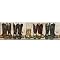 Saddle Up Wall Décor Collection