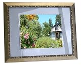 Digital Spectrum MemoryVue 1900 U-30319 19 Digital Picture Frame (Gold)