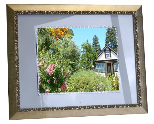 Digital Spectrum MemoryVue 1900 U-30319 19 Digital Picture Frame (Gold)