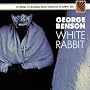 White Rabbit