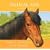Pony in the Porch (Animal Ark)