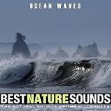 Big Surf