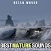 Ocean Waves