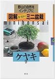 ケヤキ (図解 群境介のミニ盆栽―野山の自然をインテリアに)