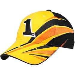 Jamie McMurray #1 Frag Element Hat