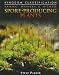 Ferns, Mosses & Other Spore-Producing Plants (Kingdom Classifications)