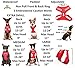 Dexil Limited Caution (Do Not Approach) Red Color Coded Non-Pull Front and Back D Ring Padded and Waterproof Vest Dog Harness Prevents Accidents by Warning Others of Your Dog in Advance (L)