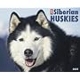 Just Siberian Huskies 2009 Calendar