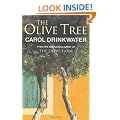 The Olive Tree: A Personal Journey Through Mediterranean Olive Groves