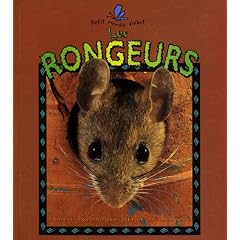 Les rongeurs