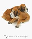ALAB BOXERS PUPPY