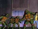 Teenage Mutant Ninja Turtles: The Complete Season 9