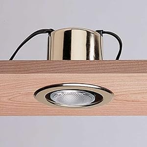 Master Incandescent Canister Light, Antique Brass by Rockler