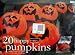 20 Happy Pumpkins Indoor/outdoor Straight Line Lights