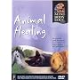 Animal Healing [2007]