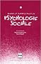 Bilans et perspectives en psychologie sociale : Tome 2