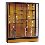 ~:~ BALT INC. ~:~ Large 5 Wide Freestanding Display Case, Natural Oak Panels/Black Frame