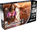 PNY nVidia GeForce 9800 GT Grafikkarte (PCI-e, 1GB GDDR3 Speicher, Dual DVI, 1 GPU)