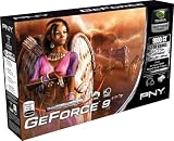 PNY nVidia GeForce 9800 GT Grafikkarte (PCI-e, 1GB GDDR3 Speicher, Dual DVI, 1 GPU)