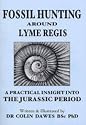 Fossil Hunting Around Lyme Regis: A Practical Insight into the Jurassic Period