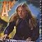 Allman Bros Family Tree: The best of Allman Solo Albums
