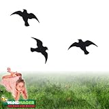 Eigenschaften Windhager  / Windhager Vogel - Silhouetten