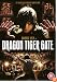 Dragon Tiger Gate - 2 Disc Ultimate Edition