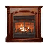 World GFP4312 Gas Fireplace 40,000 BTU Liquid Propane by WORLD MKTG OF AMERICA/IMPORT