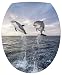 Sticker Autocollant Abattant WC Dauphins 35x42cm réf 035
