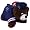 New England Patriots